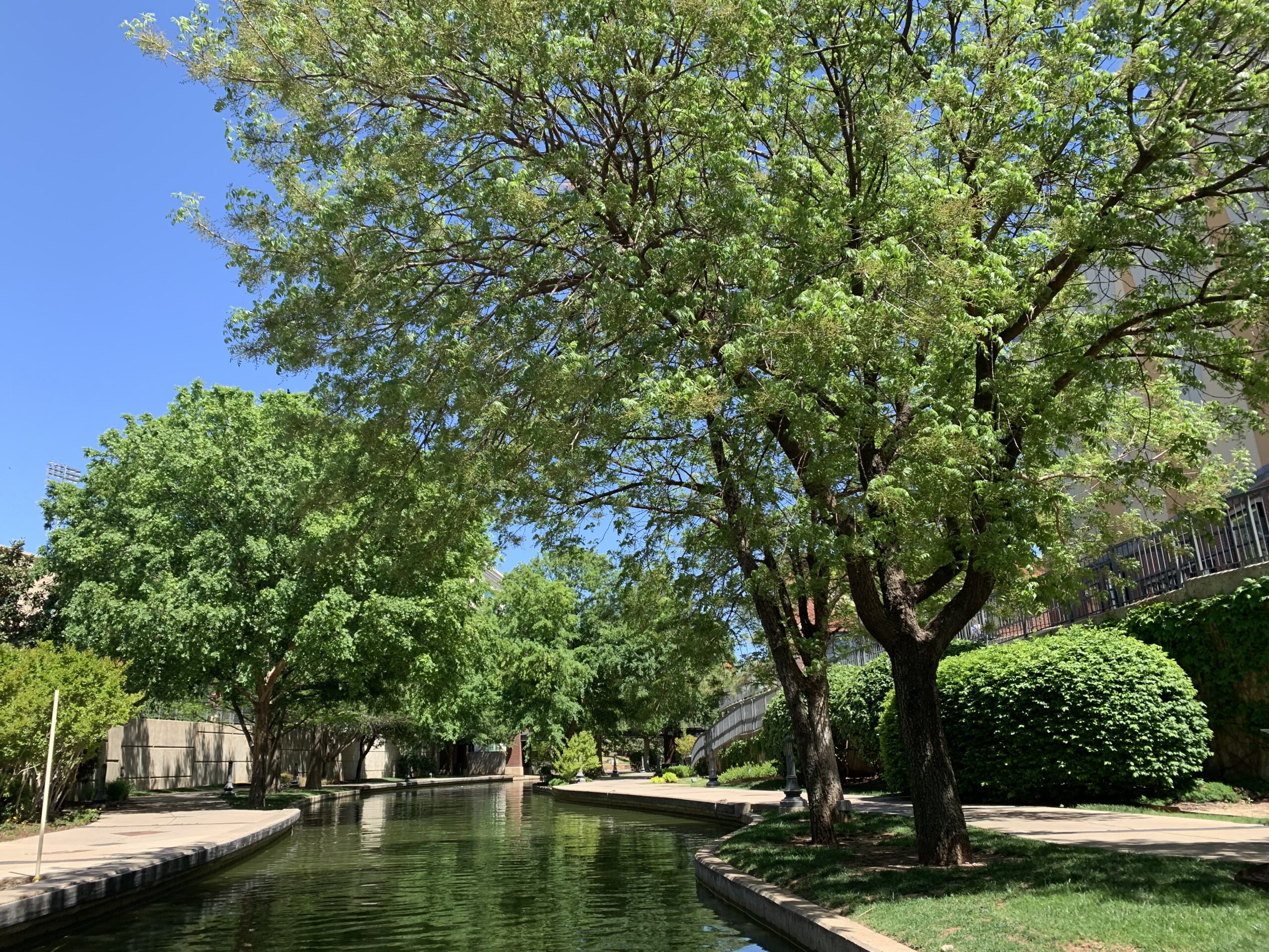 A picture of water and trees in Bricktown.